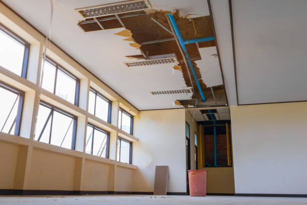 Best 24-hour water damage restoration  in Greer, SC