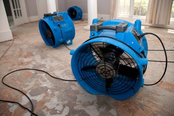 Best Flooded house restoration  in Greer, SC